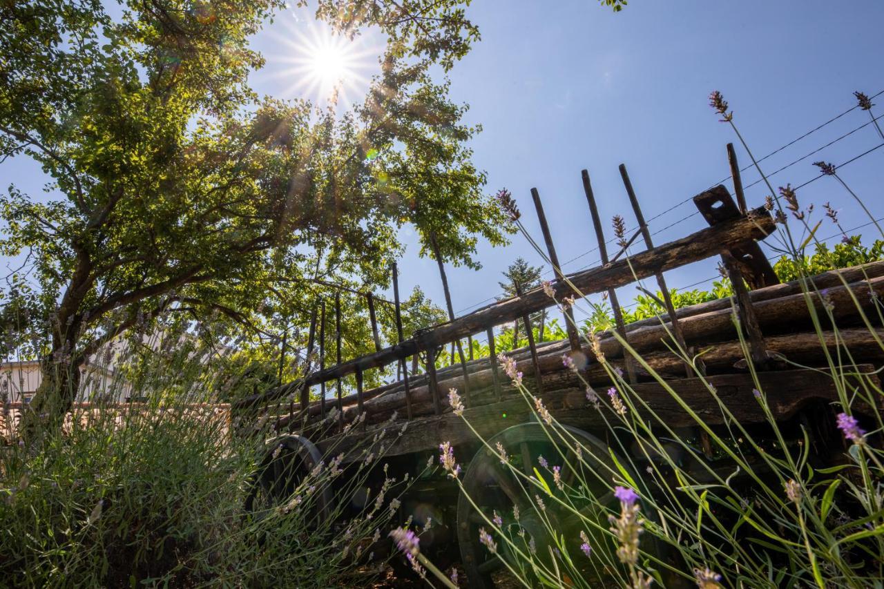 Villa Lindraze Dobrinj Eksteriør bilde